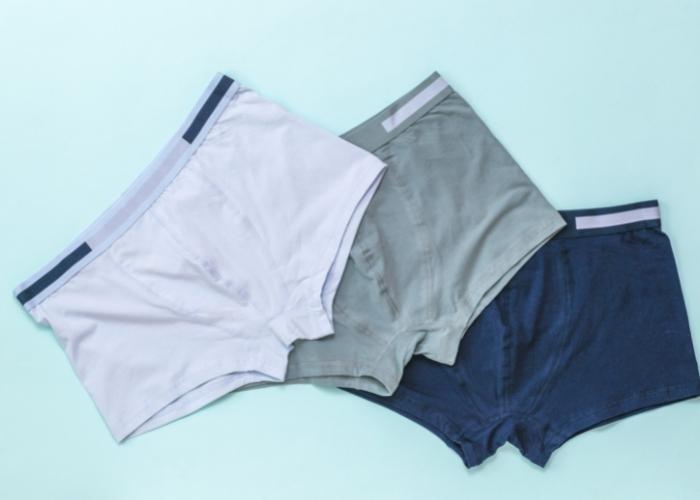 fábricas de moda íntima masculina